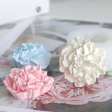 HULIANFU Rose Flower soap mold for soap Making silicone soap molds Aromatherapy plaster mold