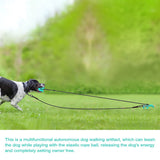 HULIANFU Training Stakes Portable Dog Leash Pile Tie-Out Stick Chew Toy Elasticity Chain for Outdoor Camping Backyard pet leash