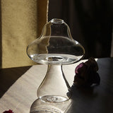 HULIANFU Mushroom Shaped Glass Vase Lovely Transparent Hydroponics Plant Vase Creative Glass Crafts Decor for Home Office Living Room A50