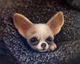 HULIANFU Non finished Handcrafted Pocket Animal Pet Doll Toy Wool Needle Felting Kit Dog Cat Fox Rabbit фетр для рукоделия фетр fieltro