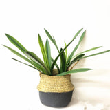 HULIANFU S M L Real Touch Gladiolus Cymbidium Hyridus Orchid Leaf  Whelan Floral Art Material High Grade Silicon Feel