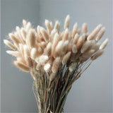HULIANFU Natural Dried Flowers Lagurus Ovatus Rabbit Bunny Tail Grass Bunch Real Flower Bouquet Pampas Grass for Home Wedding Decoration