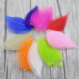 HULIANFU Lucia Crafts 36pcs /Bag  Multi-Color  Natural Skeleton Leaf Dry Leaves Scrapbooking  Girl DIY Material  C0704