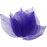 HULIANFU Lucia Crafts 36pcs /Bag  Multi-Color  Natural Skeleton Leaf Dry Leaves Scrapbooking  Girl DIY Material  C0704