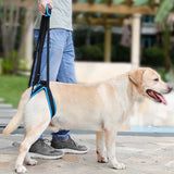 HULIANFU New Pet Leg Straps Walking Bracket Dog Leg Belts Hind Legs Support Harness with Assist Sling for Old Injured Dogs