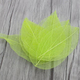 HULIANFU Lucia Crafts 36pcs /Bag  Multi-Color  Natural Skeleton Leaf Dry Leaves Scrapbooking  Girl DIY Material  C0704
