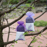 HULIANFU Lavende Sachet Bags Portable Flowers Printing Beautiful Fragrance Lavender Sachet Bag for Seeds Dry Flowers Sachet Bags A30