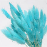HULIANFU Natural Dried Flowers Lagurus Ovatus Rabbit Bunny Tail Grass Bunch Real Flower Bouquet Pampas Grass for Home Wedding Decoration