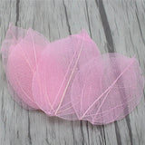 HULIANFU Lucia Crafts 36pcs /Bag  Multi-Color  Natural Skeleton Leaf Dry Leaves Scrapbooking  Girl DIY Material  C0704