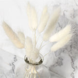 HULIANFU Natural Dried Flowers Lagurus Ovatus Rabbit Bunny Tail Grass Bunch Real Flower Bouquet Pampas Grass for Home Wedding Decoration