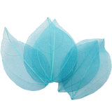 HULIANFU Lucia Crafts 36pcs /Bag  Multi-Color  Natural Skeleton Leaf Dry Leaves Scrapbooking  Girl DIY Material  C0704