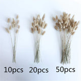 HULIANFU Natural Dried Flowers Lagurus Ovatus Rabbit Bunny Tail Grass Bunch Real Flower Bouquet Pampas Grass for Home Wedding Decoration