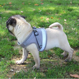 HULIANFU Vest Harness Leash Adjustable Mesh Vest Dog Harness Collar Chest Strap Leash Harnesses With Traction Rope XS/S/M/L/XL