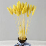 HULIANFU Natural Dried Flowers Lagurus Ovatus Rabbit Bunny Tail Grass Bunch Real Flower Bouquet Pampas Grass for Home Wedding Decoration