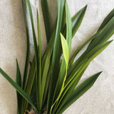 HULIANFU S M L Real Touch Gladiolus Cymbidium Hyridus Orchid Leaf  Whelan Floral Art Material High Grade Silicon Feel