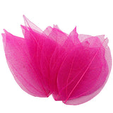 HULIANFU Lucia Crafts 36pcs /Bag  Multi-Color  Natural Skeleton Leaf Dry Leaves Scrapbooking  Girl DIY Material  C0704