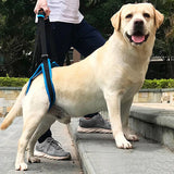 HULIANFU New Pet Leg Straps Walking Bracket Dog Leg Belts Hind Legs Support Harness with Assist Sling for Old Injured Dogs