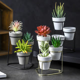 HULIANFU Mini 3 in 1 Pottery Planters Modern Small Flower Pots with Gold Black Metal Stands Decorative Tabletop Ornaments Home Decoration