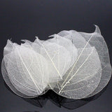 HULIANFU Lucia Crafts 36pcs /Bag  Multi-Color  Natural Skeleton Leaf Dry Leaves Scrapbooking  Girl DIY Material  C0704
