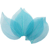 HULIANFU Lucia Crafts 36pcs /Bag  Multi-Color  Natural Skeleton Leaf Dry Leaves Scrapbooking  Girl DIY Material  C0704