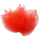 HULIANFU Lucia Crafts 36pcs /Bag  Multi-Color  Natural Skeleton Leaf Dry Leaves Scrapbooking  Girl DIY Material  C0704