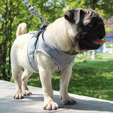 HULIANFU Vest Harness Leash Adjustable Mesh Vest Dog Harness Collar Chest Strap Leash Harnesses With Traction Rope XS/S/M/L/XL