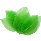 HULIANFU Lucia Crafts 36pcs /Bag  Multi-Color  Natural Skeleton Leaf Dry Leaves Scrapbooking  Girl DIY Material  C0704