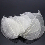 HULIANFU Lucia Crafts 36pcs /Bag  Multi-Color  Natural Skeleton Leaf Dry Leaves Scrapbooking  Girl DIY Material  C0704