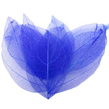 HULIANFU Lucia Crafts 36pcs /Bag  Multi-Color  Natural Skeleton Leaf Dry Leaves Scrapbooking  Girl DIY Material  C0704