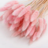 HULIANFU Natural Dried Flowers Lagurus Ovatus Rabbit Bunny Tail Grass Bunch Real Flower Bouquet Pampas Grass for Home Wedding Decoration
