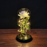 HULIANFU Valentines Day Gift for Girlfriend Eternal Rose LED Light Foil Flower In Glass Cover Mothers Day Wedding favors Bridesmaid Gift