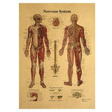 HULIANFU Spinal Column Chart Poster Human Anatomy Knee Joint Foot Posters and Prints Canvas Painting Wall Art For Room Home Decoration