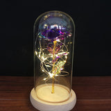 HULIANFU Valentines Day Gift for Girlfriend Eternal Rose LED Light Foil Flower In Glass Cover Mothers Day Wedding favors Bridesmaid Gift