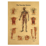 HULIANFU Spinal Column Chart Poster Human Anatomy Knee Joint Foot Posters and Prints Canvas Painting Wall Art For Room Home Decoration
