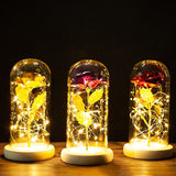 HULIANFU Valentines Day Gift for Girlfriend Eternal Rose LED Light Foil Flower In Glass Cover Mothers Day Wedding favors Bridesmaid Gift