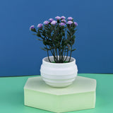 HULIANFU Mini Artificial Aloe Plants Bonsai Small Simulated Tree Pot Plants Fake Flowers Office Table Potted Ornaments Home Garden Decor