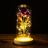 HULIANFU Valentines Day Gift for Girlfriend Eternal Rose LED Light Foil Flower In Glass Cover Mothers Day Wedding favors Bridesmaid Gift
