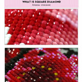 HULIANFU Sunset Scenery DIY 5D Diamond Painting Full Round Drill Mosaic Landscape Diamond Embroidery Picture Rhinestone Home Decor Gift