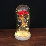 HULIANFU Valentines Day Gift for Girlfriend Eternal Rose LED Light Foil Flower In Glass Cover Mothers Day Wedding favors Bridesmaid Gift