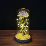 HULIANFU Valentines Day Gift for Girlfriend Eternal Rose LED Light Foil Flower In Glass Cover Mothers Day Wedding favors Bridesmaid Gift