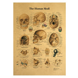 HULIANFU Spinal Column Chart Poster Human Anatomy Knee Joint Foot Posters and Prints Canvas Painting Wall Art For Room Home Decoration