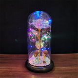 HULIANFU Valentines Day Gift for Girlfriend Eternal Rose LED Light Foil Flower In Glass Cover Mothers Day Wedding favors Bridesmaid Gift