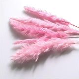 HULIANFU Natural Dried Flowers Lagurus Ovatus Rabbit Bunny Tail Grass Bunch Real Flower Bouquet Pampas Grass for Home Wedding Decoration