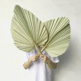 HULIANFU Palm Fan Leaf Palm Leaf Window Reception Party Art Wall Hanging Decoration Wedding Arch Arrangement