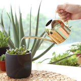 HULIANFU Long Mouth Water Can Stainless Steel Watering Pot Garden Flower Plants Watering Cans 500ML /1000ML Kettle Gardening Tool