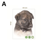 HULIANFU Toilet Stickers 3D Cat Vivid Wall Sticker  Fashion Lovely Animal Pvc Waterproof Decal For Bathroom Toilet Kicthen Decorative