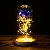 HULIANFU Valentines Day Gift for Girlfriend Eternal Rose LED Light Foil Flower In Glass Cover Mothers Day Wedding favors Bridesmaid Gift
