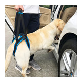 HULIANFU New Pet Leg Straps Walking Bracket Dog Leg Belts Hind Legs Support Harness with Assist Sling for Old Injured Dogs