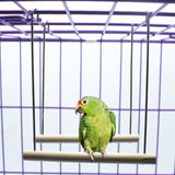 HULIANFU Natural Wooden Birds Perch Parrots Hanging Swing Cage Pendant Toys Stand Holder