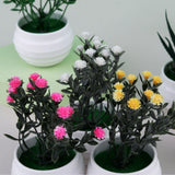 HULIANFU Mini Artificial Aloe Vera Bonsai Small Simulation Tree Potted Artificial Flower Desk Potted Ornaments Home Decoration Crafts